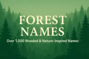 Illustrated forest with trees, glowing sunlight, and nature elements representing forest-inspired baby names and character ideas
